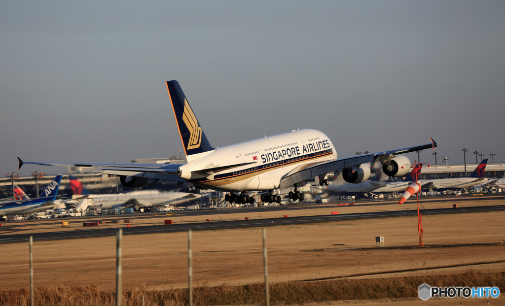 到着 Singapore A380-841 9V-SKN