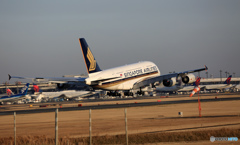 到着 Singapore A380-841 9V-SKN