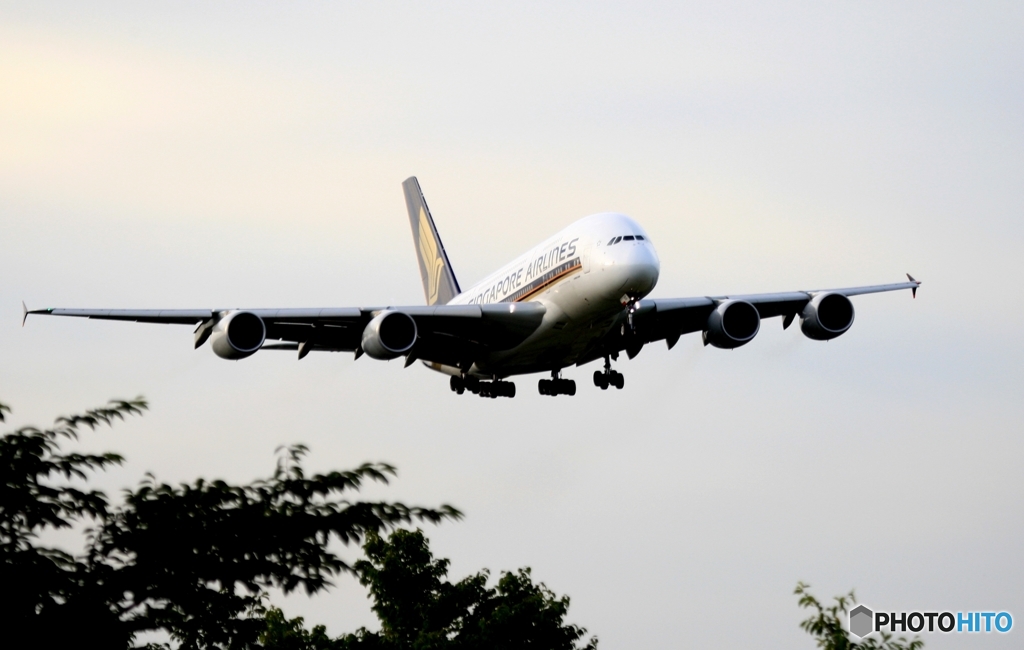 Singapore A380-841 着陸　