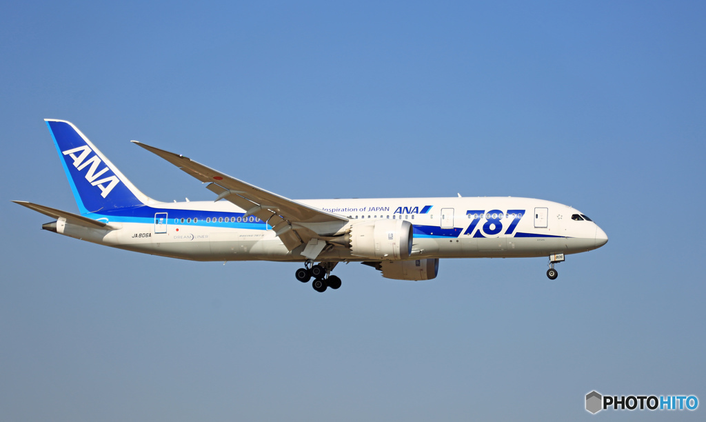 到着 ANA 787-8 JA806A