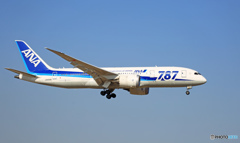 到着 ANA 787-8 JA806A