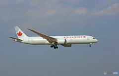 「青空」 Air Canada 787-8 C-FNOH Landing 「青空」 Air Canada 787-8 C-FNOH Landing