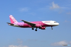 着陸　peach A320-214 JA804P