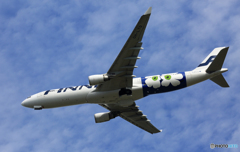 飛び立ち　Finnair A330-300 UNIKKO OH-LTO