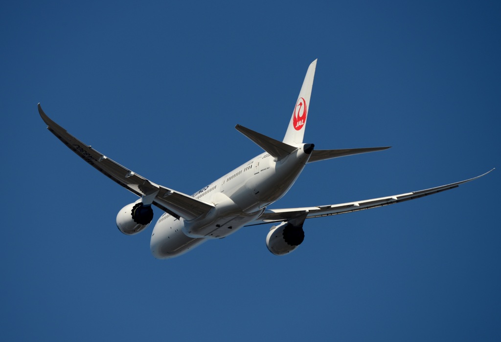 JAL 787-8 