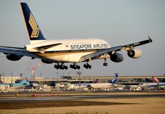 SINGAPORE A380-841 着陸