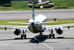 ☮ お尻もきれいですね !! ☮