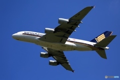 飛び立ち　Singapore A380-841