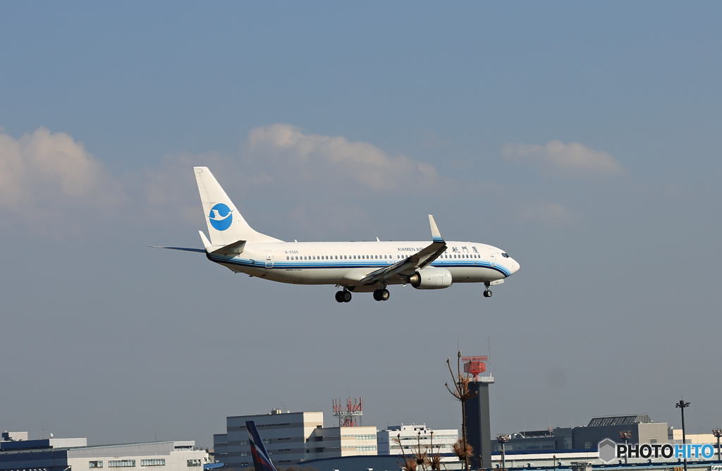 着陸 Xiamen 737-86N B-5565