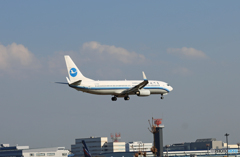 着陸 Xiamen 737-86N B-5565