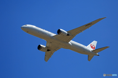 　「すかい」 JAL 787-9 JA866J飛び立ち 