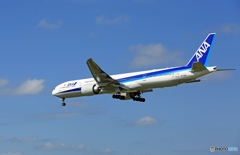 「青空」 ANA 777-381 JA778A