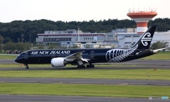 ✈Air New Zealand[All Blacks]787-9 ZK-NZE
