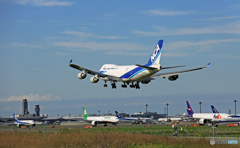 [青い空] NCA 747-400F JA06KZ/ジャンボ保存委員会 