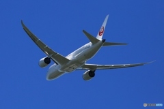 出発　JAL 787-8 JA823J