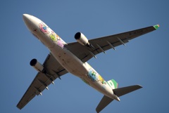離陸 EVA A330-200 キティ