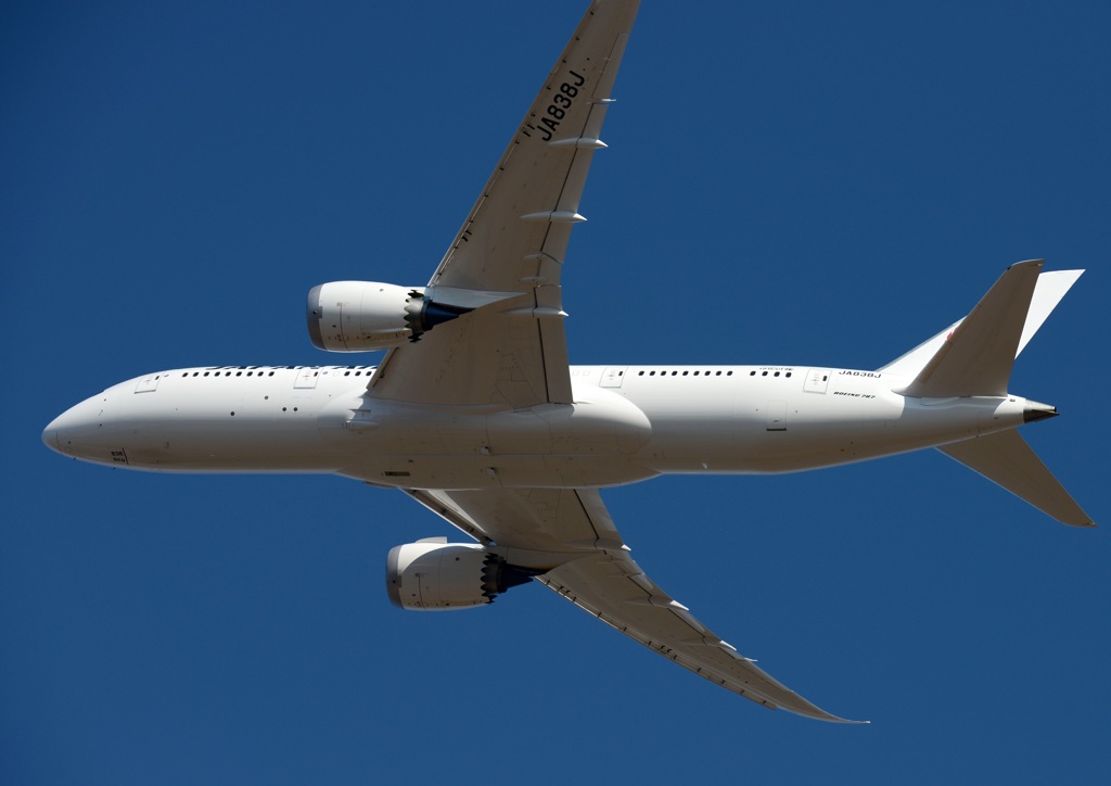 JAL 787-8
