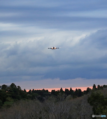 「空色」　✈日 本 の ジ ャ ン ボ 機✈
