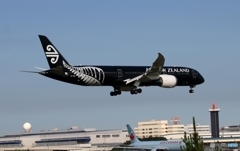 Air New Zealand「All Blacks」787-9 ZK-NZE　