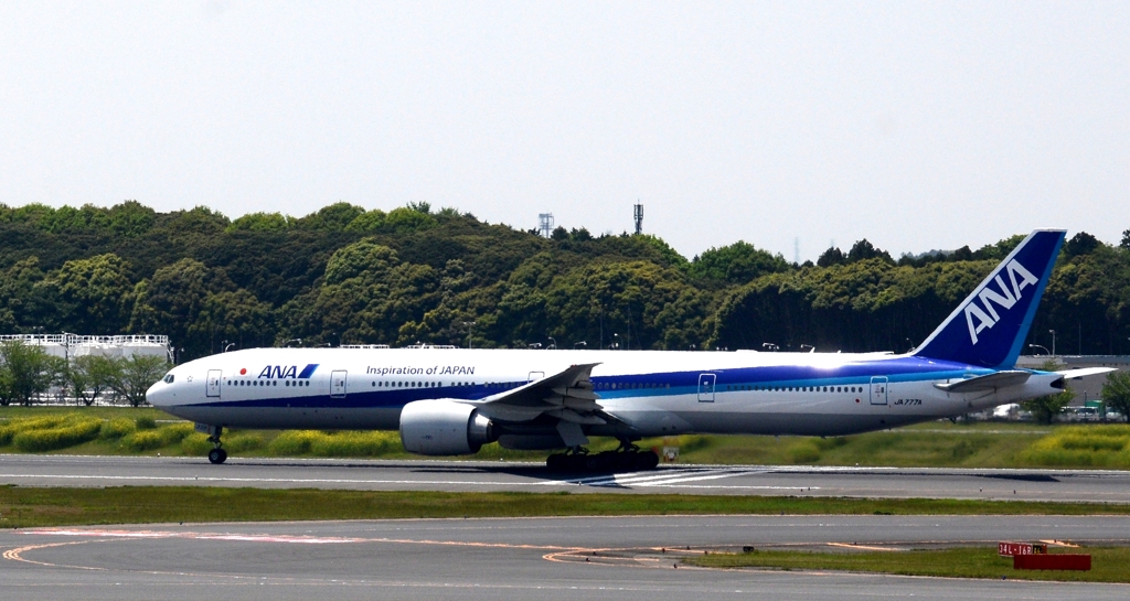 ANA 777-300ER