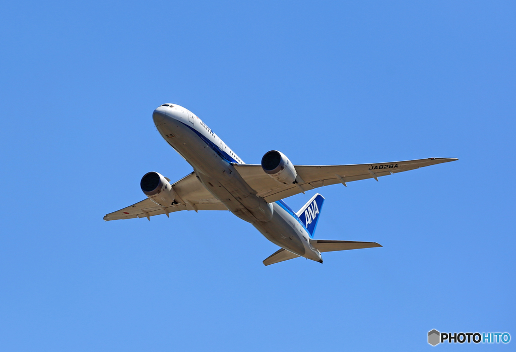 「ぶるー」 ANA 787-8 JA828A離陸