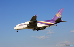 「ぶるー」 THAI A380-841 HS-TUE Landing