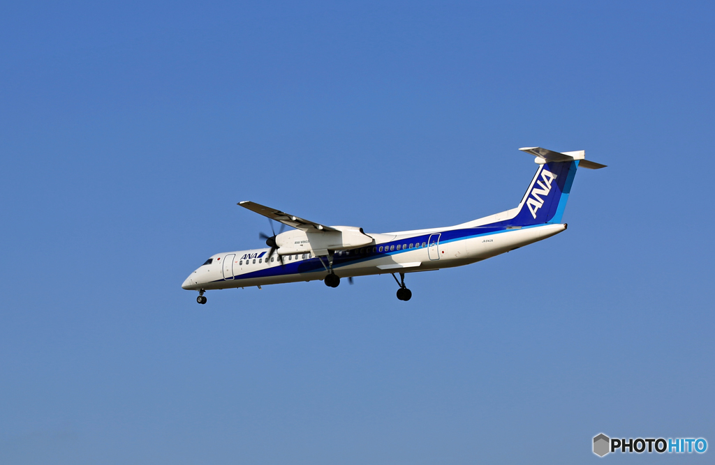 着陸 ANA ﾎﾞﾝﾊﾞﾙﾃﾞｨｱ DHC-8-Q400 JA842A
