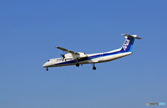 着陸 ANA ﾎﾞﾝﾊﾞﾙﾃﾞｨｱ DHC-8-Q400 JA842A
