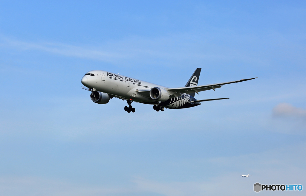 到着 Air New Zealand B787-9 ZK-NZD