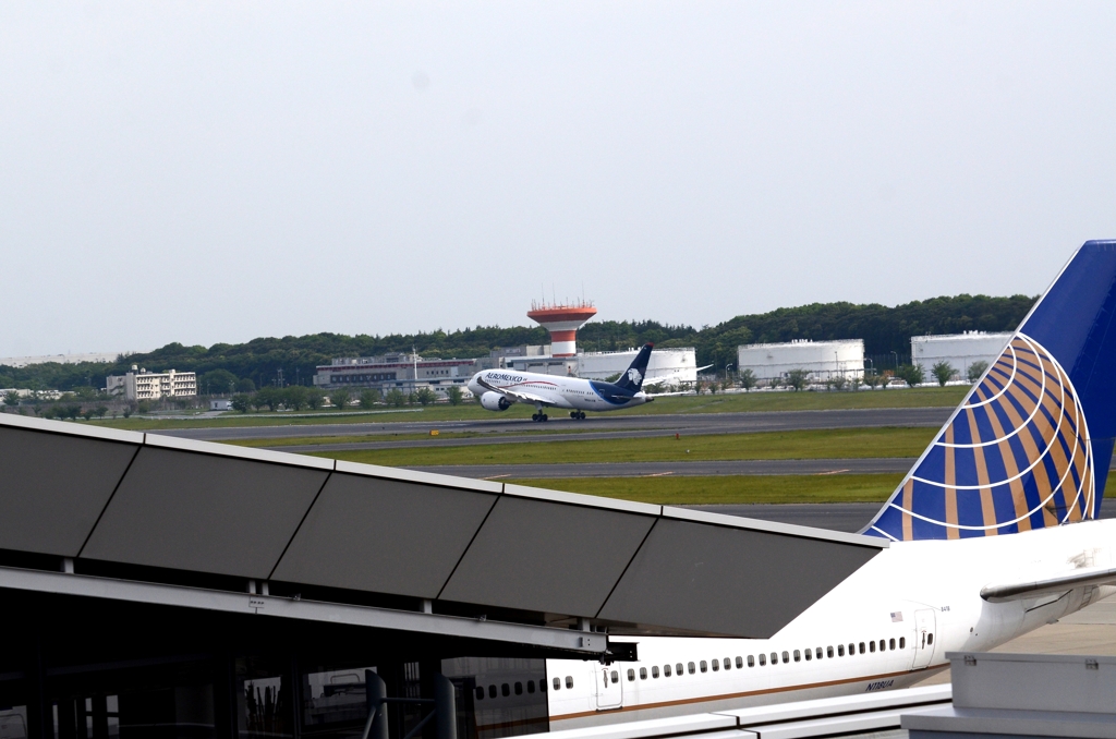 Aero Mexico 787-8