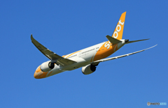 「青い空」 scoot 787-9 9V-OJB
