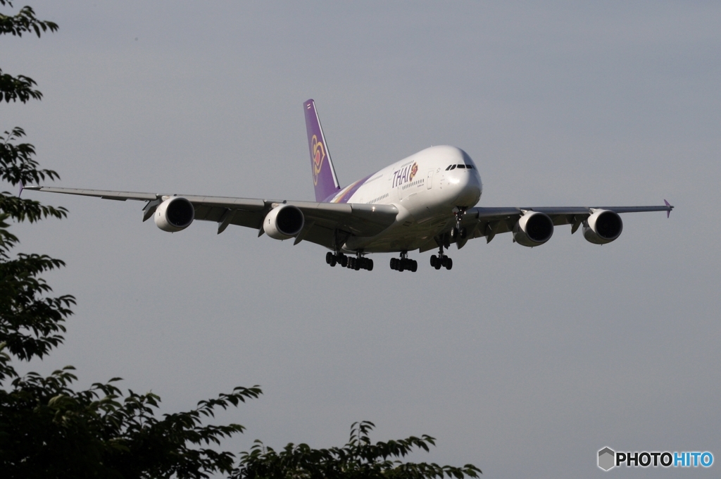 着陸　THAI A380-841 
