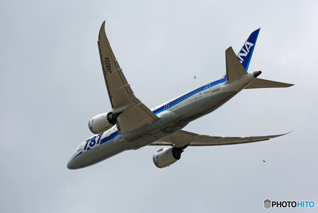 「そらー」 ANA 787-8 JA823A 出発 +鳥２