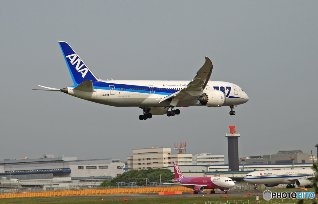 着陸 ANA 787-8 JA815A