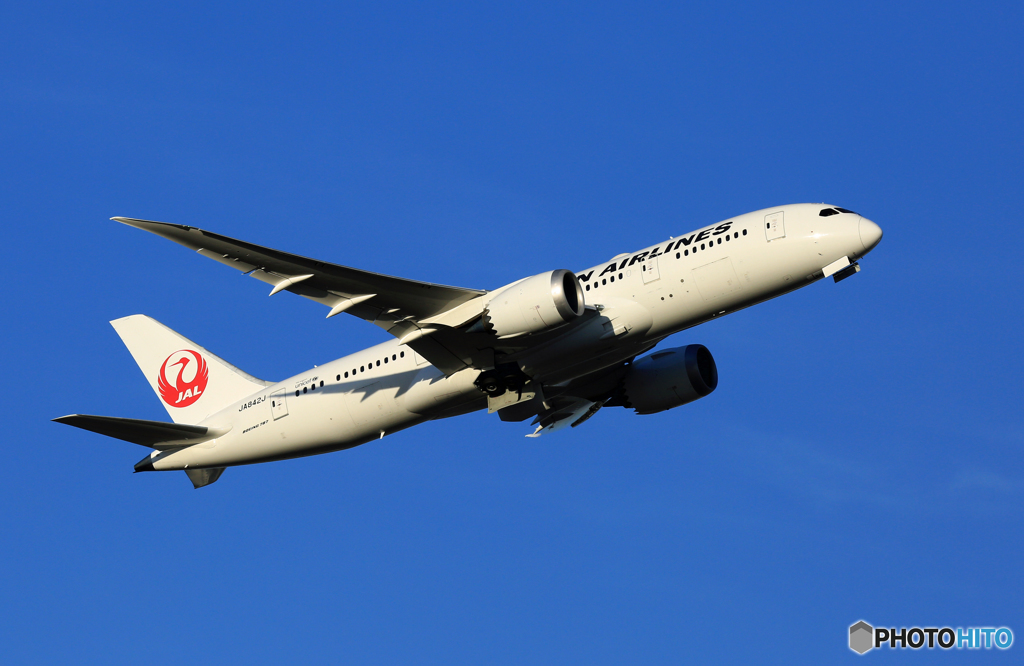 出発　ANA 787-8 JA842J