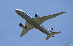 ANA 787-8 JA823A 飛び立ち 