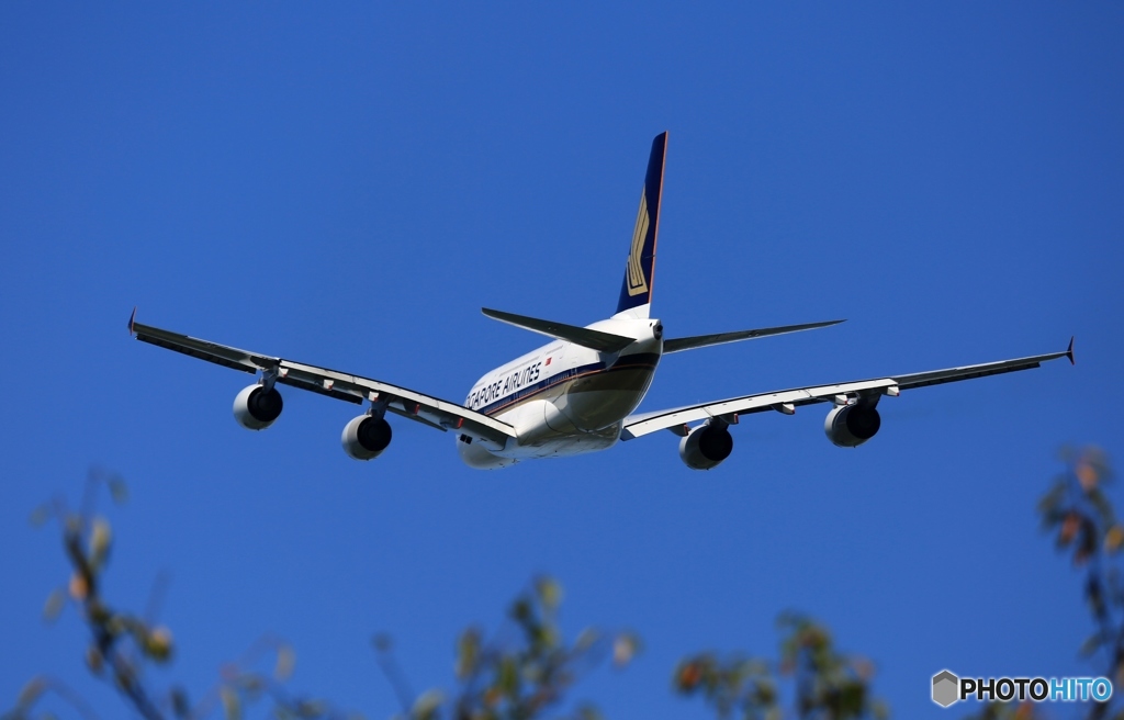 Singapore A380-841  離陸　