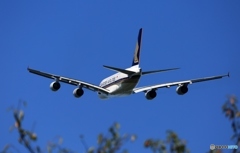 Singapore A380-841  離陸　