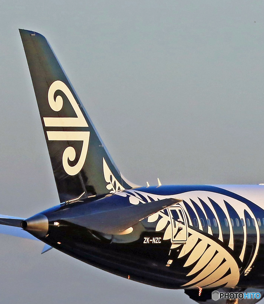 Air New Zealand また、「尾翼」だけです。