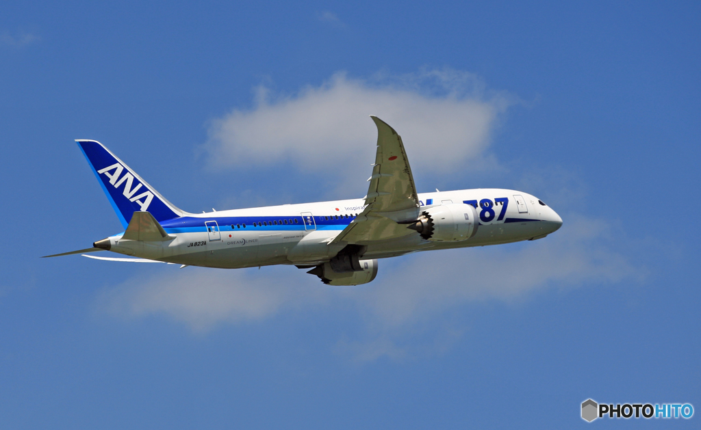 [青空] ANA 787-8 JA823A