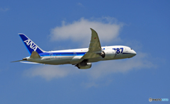 [青空] ANA 787-8 JA823A
