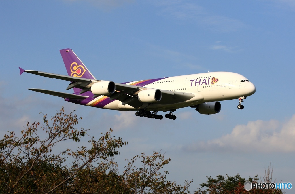 THAI A380-841 到着　