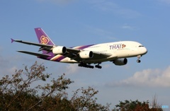 THAI A380-841 到着　