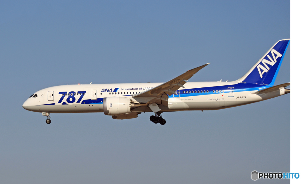 到着 ANA 787-8 [787] JA823A
