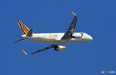 tigerair A320-232 B-50011 出発 