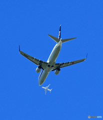 [青い空] おおっと！ANA 737-881 JA83AN出発