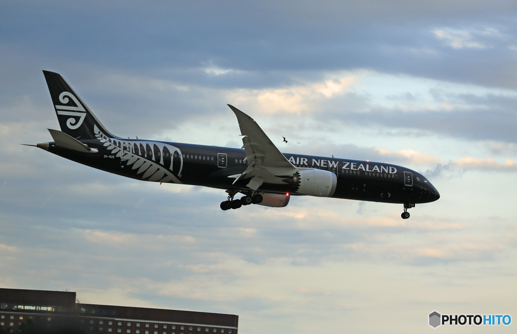 「晴れ」Air NZ' 787-9 [All Blacks]ZK-NZE着陸