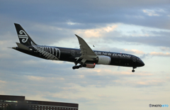 「晴れ」Air NZ' 787-9 [All Blacks]ZK-NZE着陸