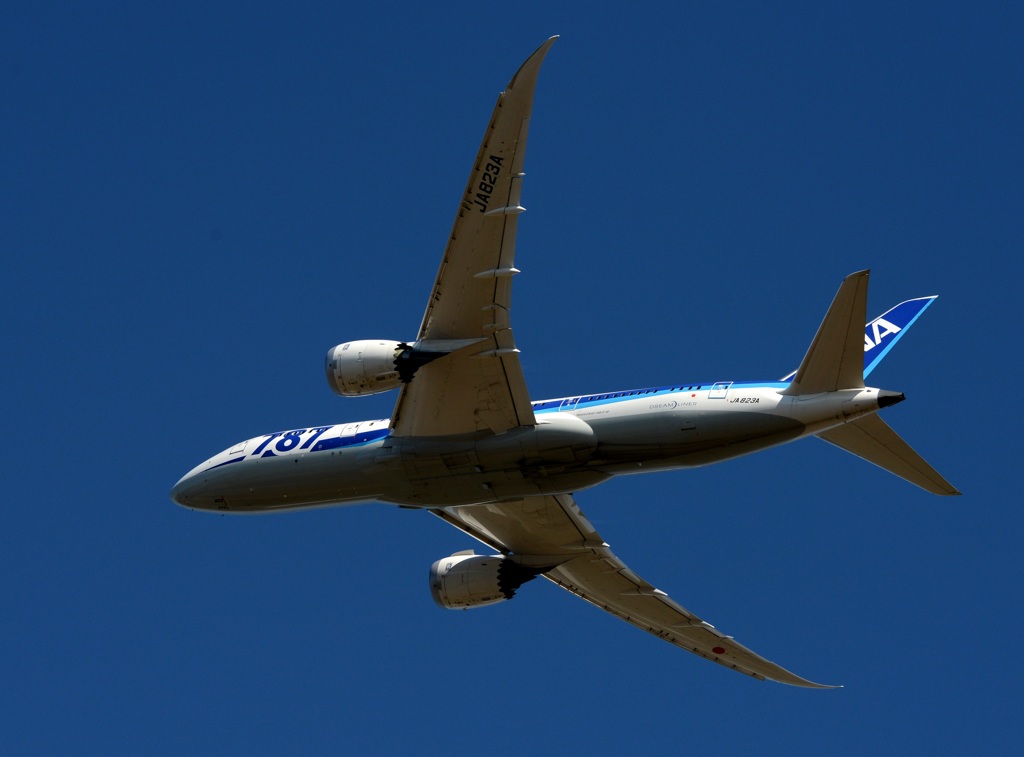 ANA 787-8