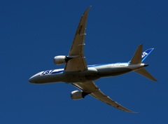 ANA 787-8